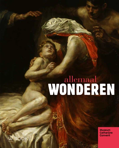 Allemaal wonderen – boek cover