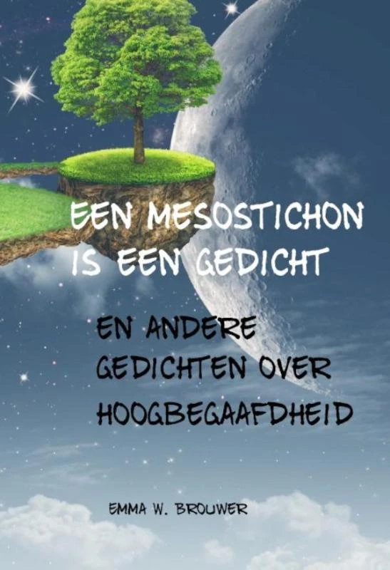 Een mesostichon is een gedicht – Emma W. Brouwer – boek cover