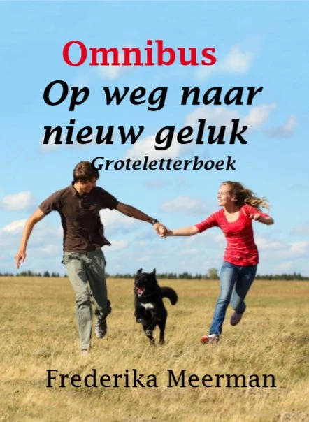 Op weg naar nieuw geluk – Frederika Meerman – boek cover