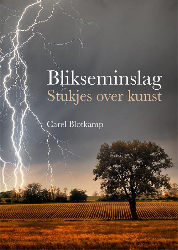 Blikseminslag – Carel Blotkamp – boek cover