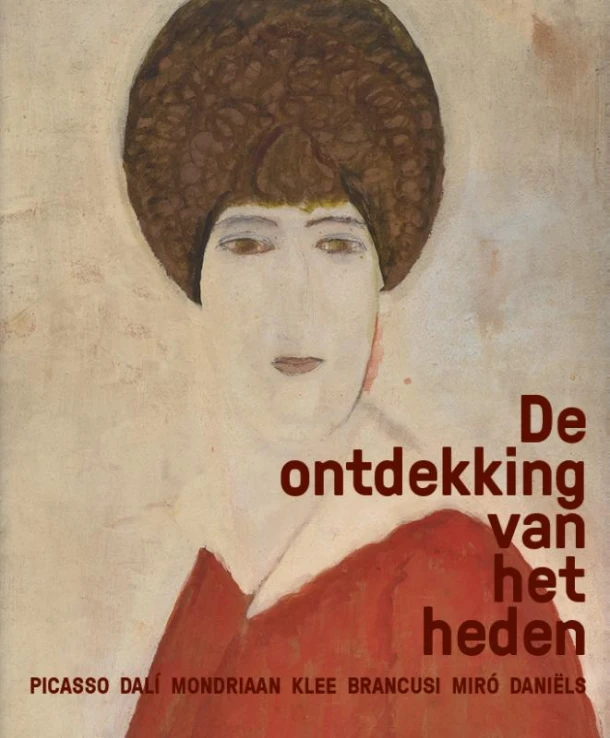 Ontdekking van het heden – Edo Dijksterhuis – boek cover