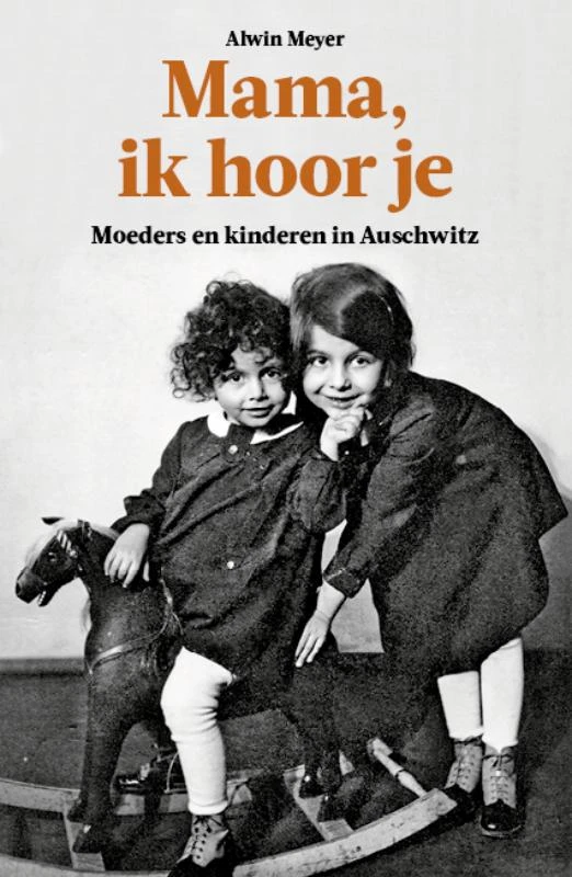 Mama, ik hoor je – Alwin Meyer – boek cover