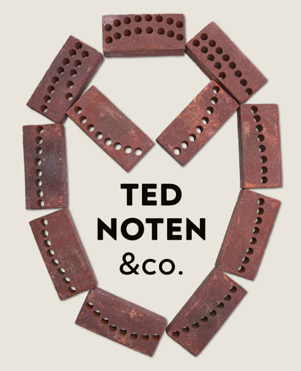 Ted Nooten & Co – Aukje Vergeest – boek cover