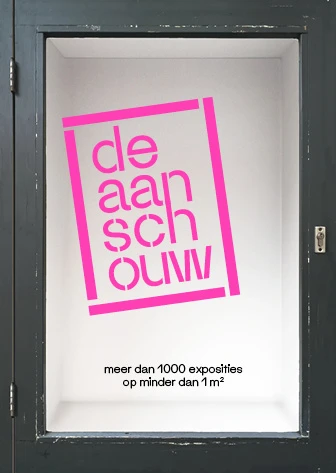De Aanschouw – Edo Dijksterhuis – boek cover