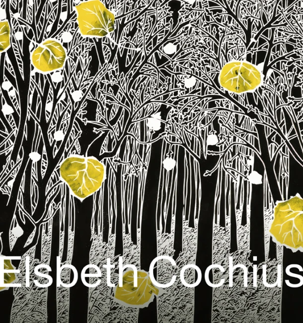 Elsbeth Cochius – Josien Beltman – boek cover