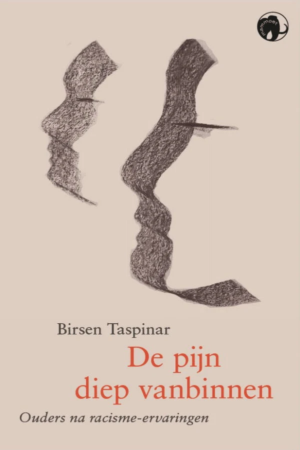 De pijn diep vanbinnen – Birsen Taspinar – boek cover