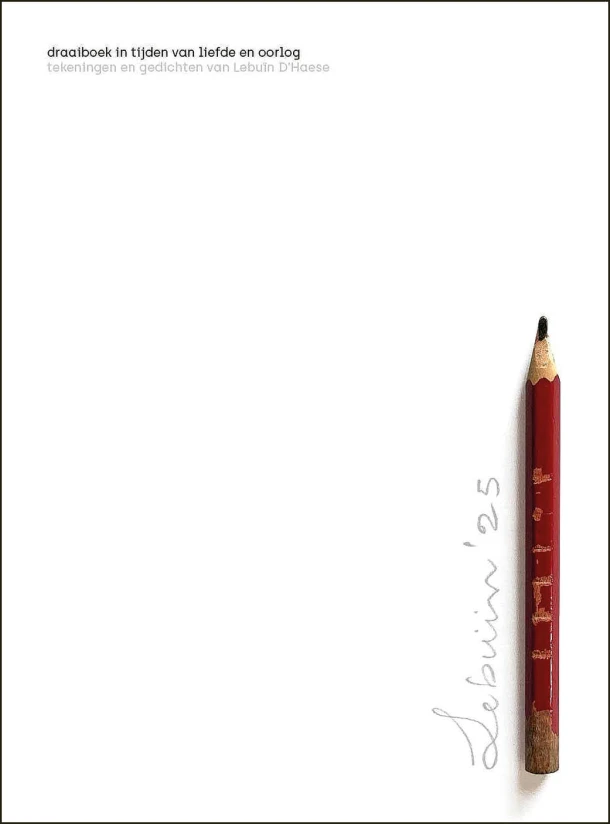 Draaiboek in tijden van liefde en oorlog – Lebuïn D‘Haese – boek cover