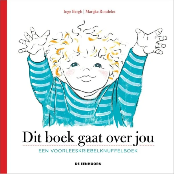 Dit boek gaat over jou – Inge Bergh – boek cover