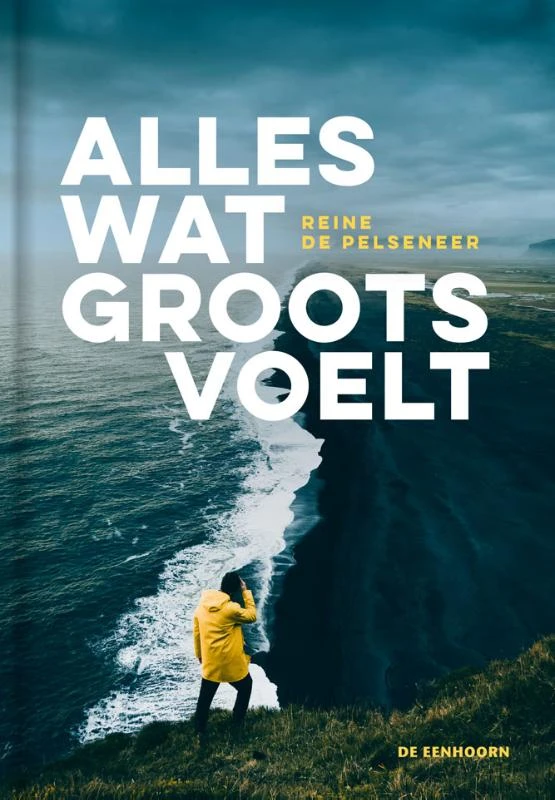 Alles wat groots voelt – Reine De Pelseneer – boek cover