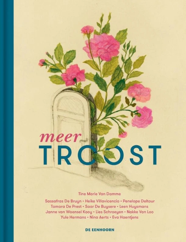 Meer troost – Tine Marie van Damme – boek cover