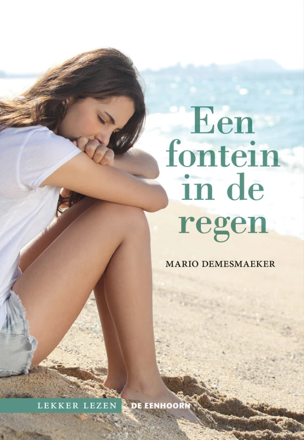 Een fontein in de regen – Mario Demesmaeker – boek cover