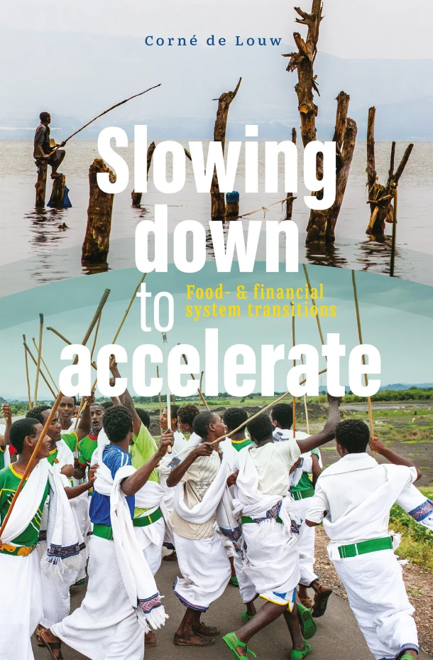 Slowing down to accelerate – Corné de Louw – boek cover