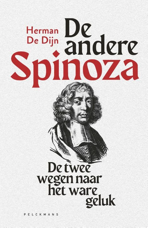 De andere Spinoza – Herman De Dijn – boek cover