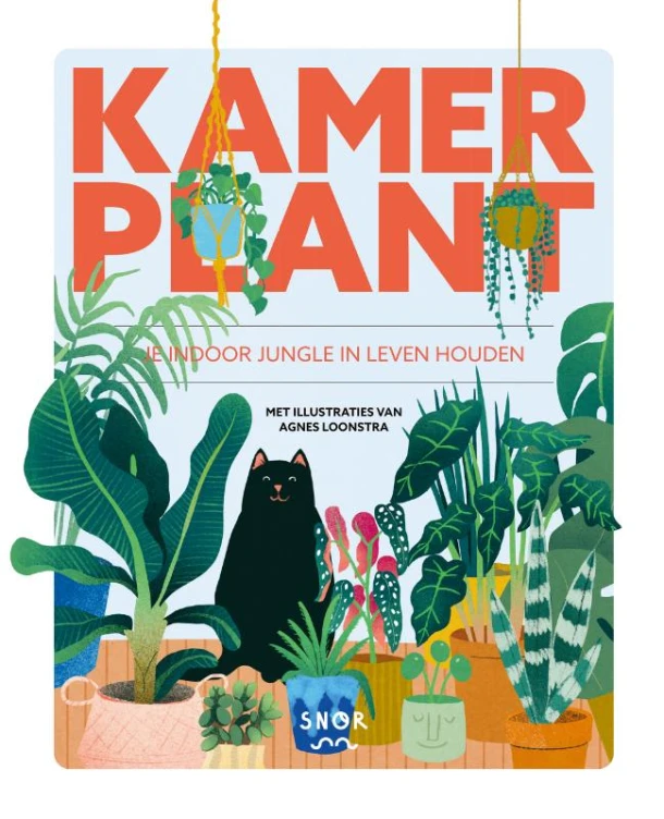 Kamerplanten