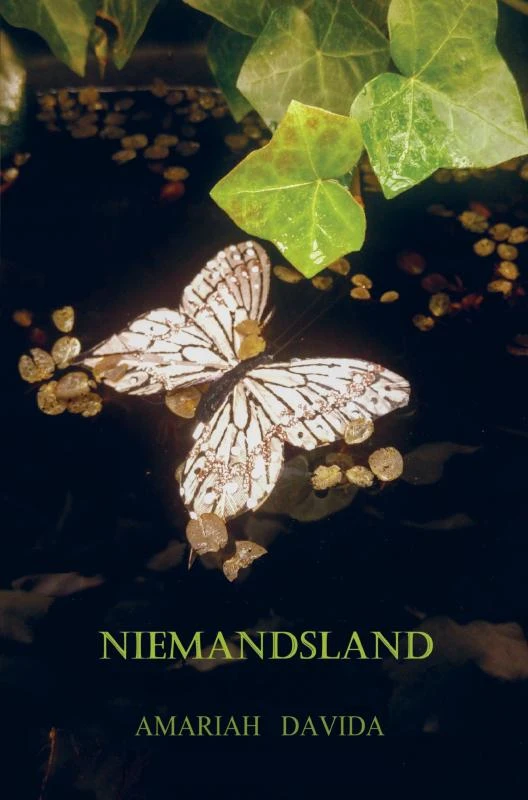 Niemandsland – Amariah Davida – boek cover