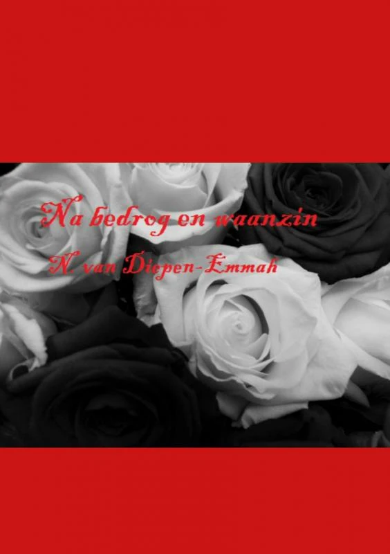 Na bedrog en waanzin – Natascha van Diepen-Emmah – boek cover