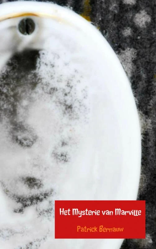 Het mysterie van Marville – Patrick Bernauw – boek cover
