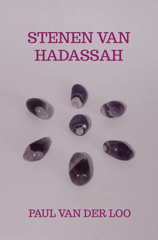 Stenen van Hadassah – Paul van der Loo – boek cover