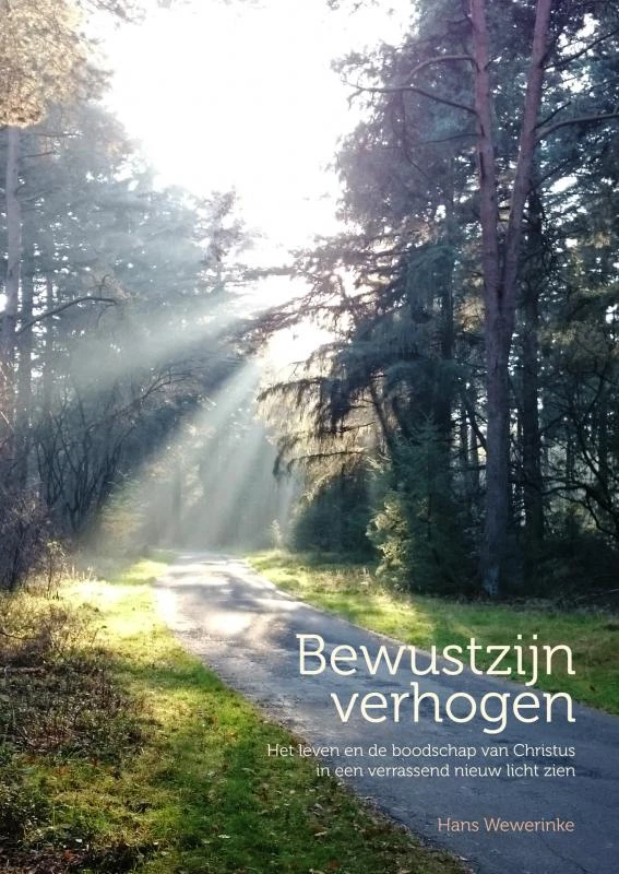 Bewustzijn verhogen – Hans Wewerinke – boek cover