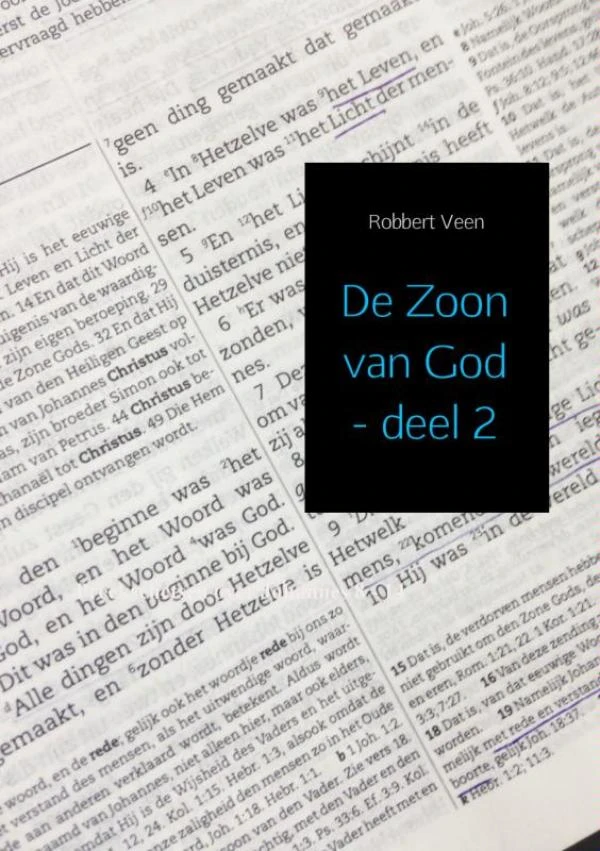 De Zoon van God 2 Johannes 8:1-14:31 – Robbert Veen – boek cover