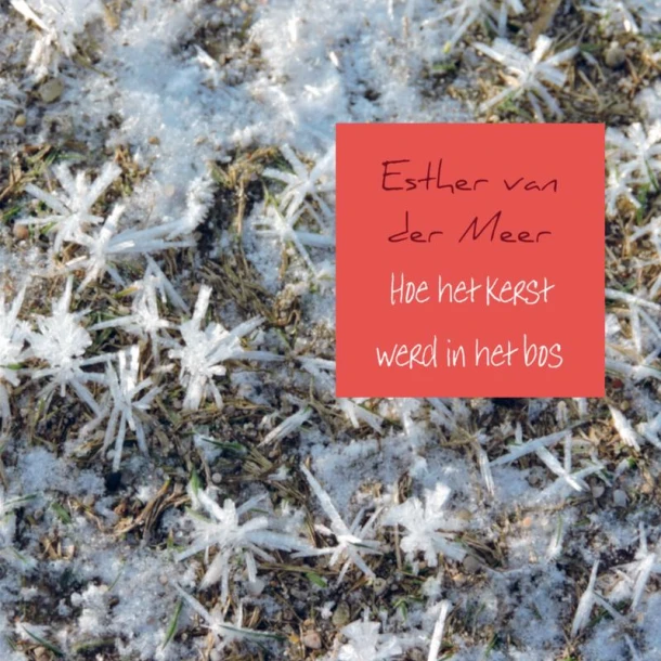 Hoe het kerst werd in het bos – Esther van der Meer - van der Meer – boek cover
