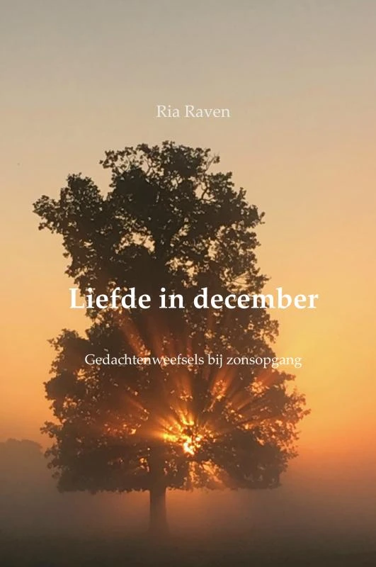 Liefde in december – Ria Raven – boek cover