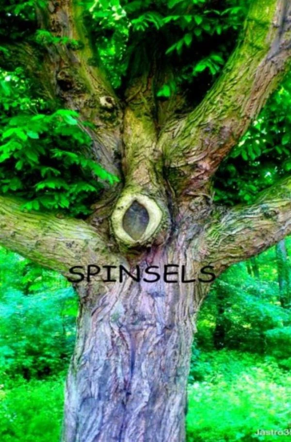 Spinsels – Joop Strous – boek cover