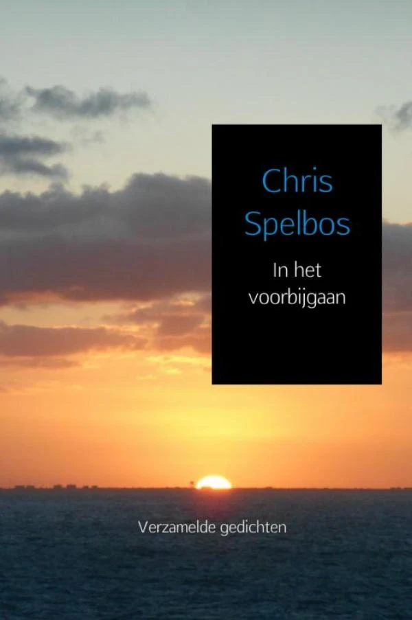 In het voorbijgaan – Chris Spelbos – boek cover