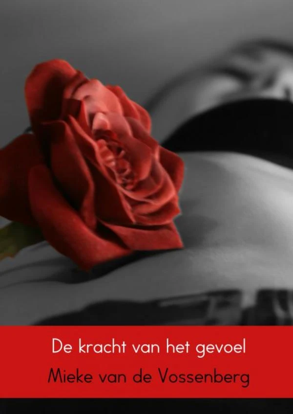 De kracht van het gevoel – Mieke van de Vossenberg – boek cover