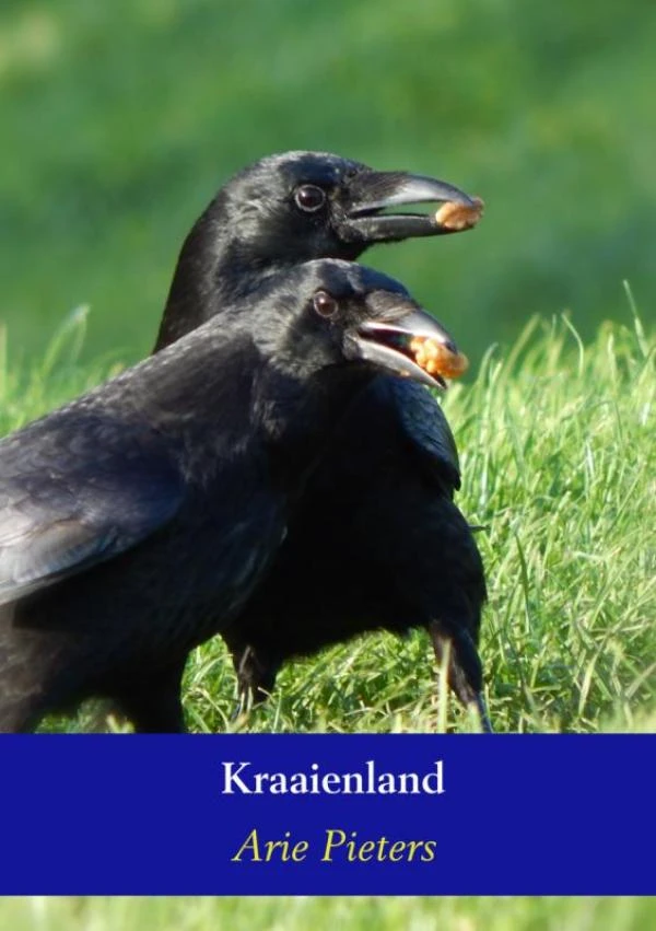 Kraaienland – Arie Pieters – boek cover