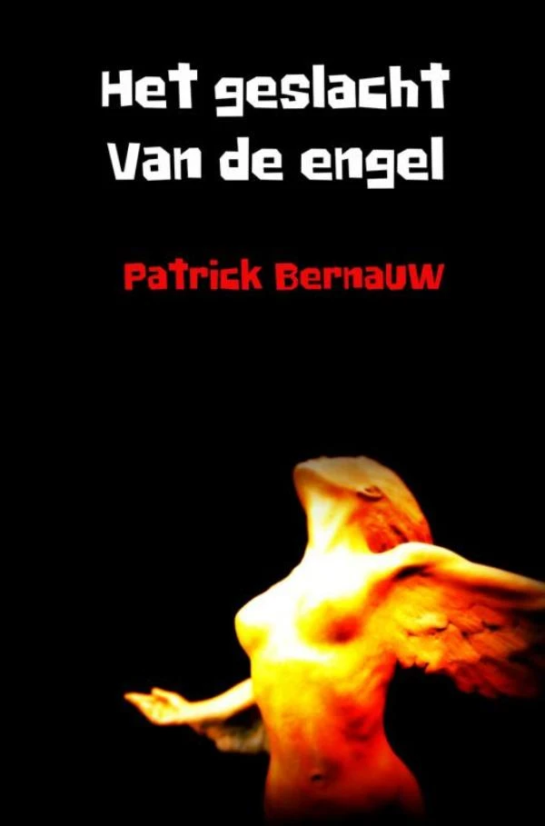 Het geslacht van de engel ā Patrick Bernauw ā boek cover