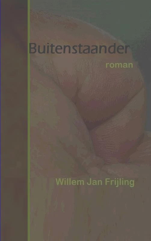 Buitenstaander – Willem Jan Frijling – boek cover
