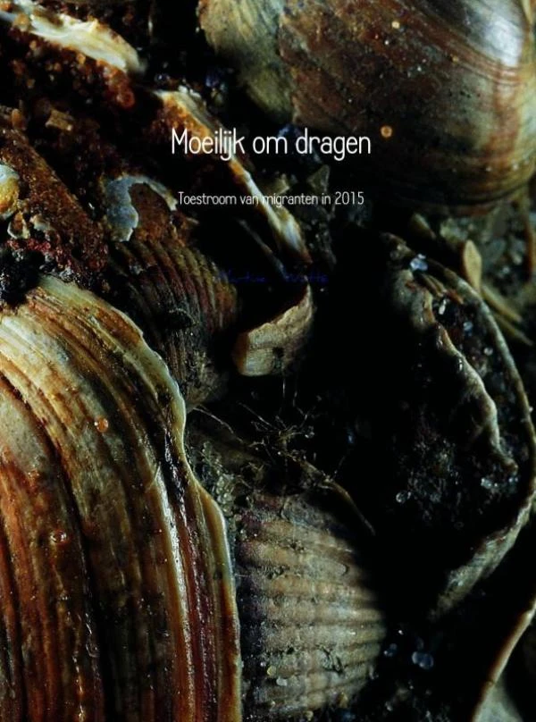 Moeilijk om dragen – Martine Watté – boek cover