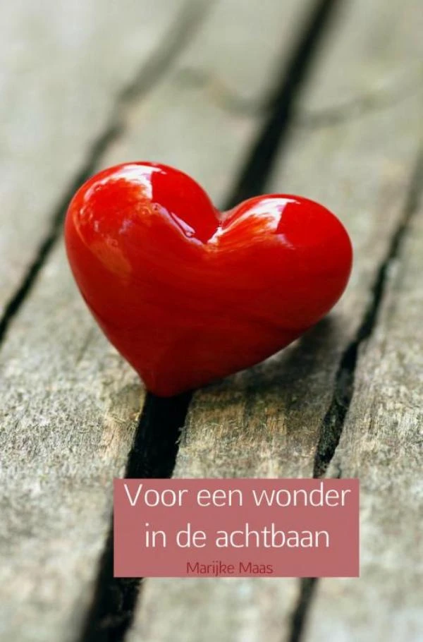 Voor een wonder in de achtbaan – Marijke Maas – boek cover