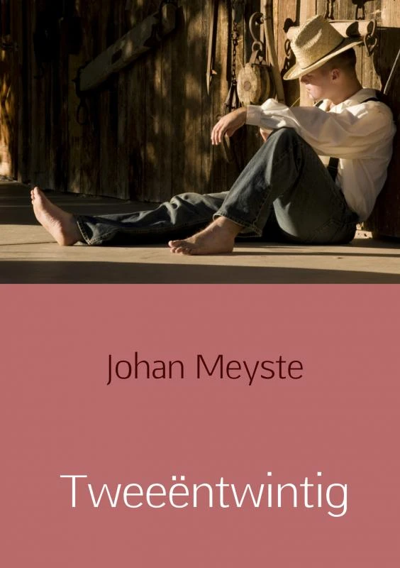 Tweeëntwintig – Johan Meyste – boek cover