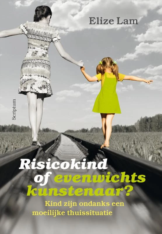 Risicokind of evenwichtskunstenaar? – Elize Lam – boek cover