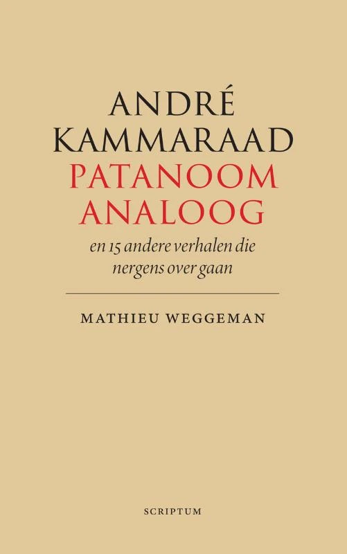 André Kammaraad, patanoom-analoog – Mathieu Weggeman – boek cover