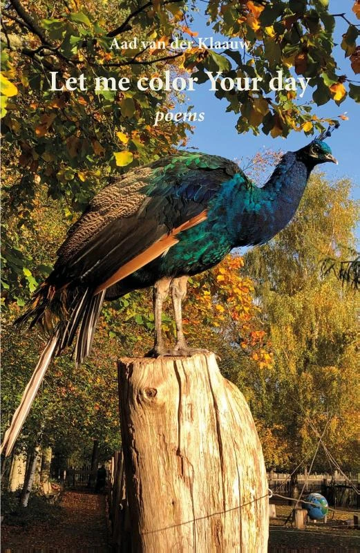 Let me color Your day – Aad van der Klaauw – boek cover