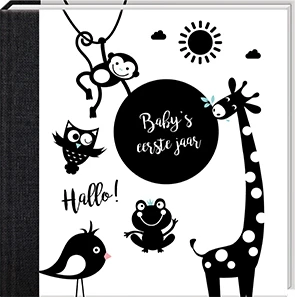 Baby's eerste jaar
