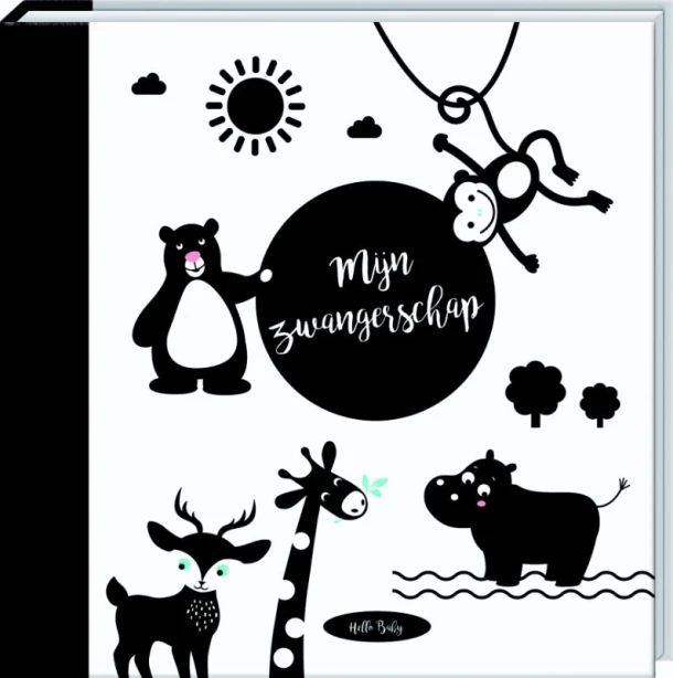 Mijn zwangerschap – boek cover
