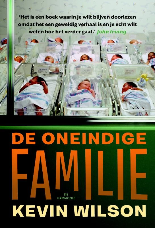 De oneindige familie – Kevin Wilson – boek cover