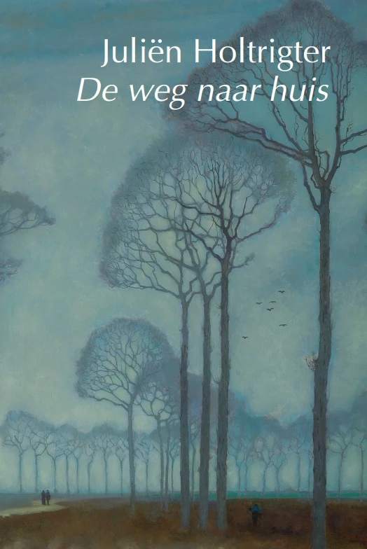 De weg naar huis – Juliën Holtrigter – boek cover