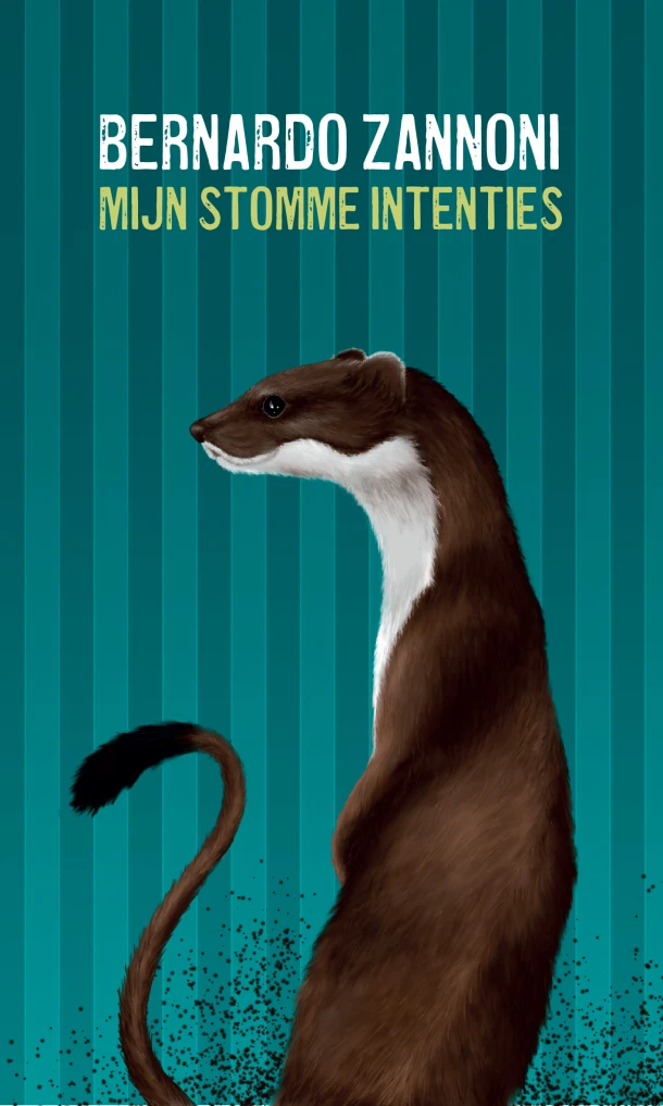 Mijn stomme intenties – Bernardo Zannoni – boek cover