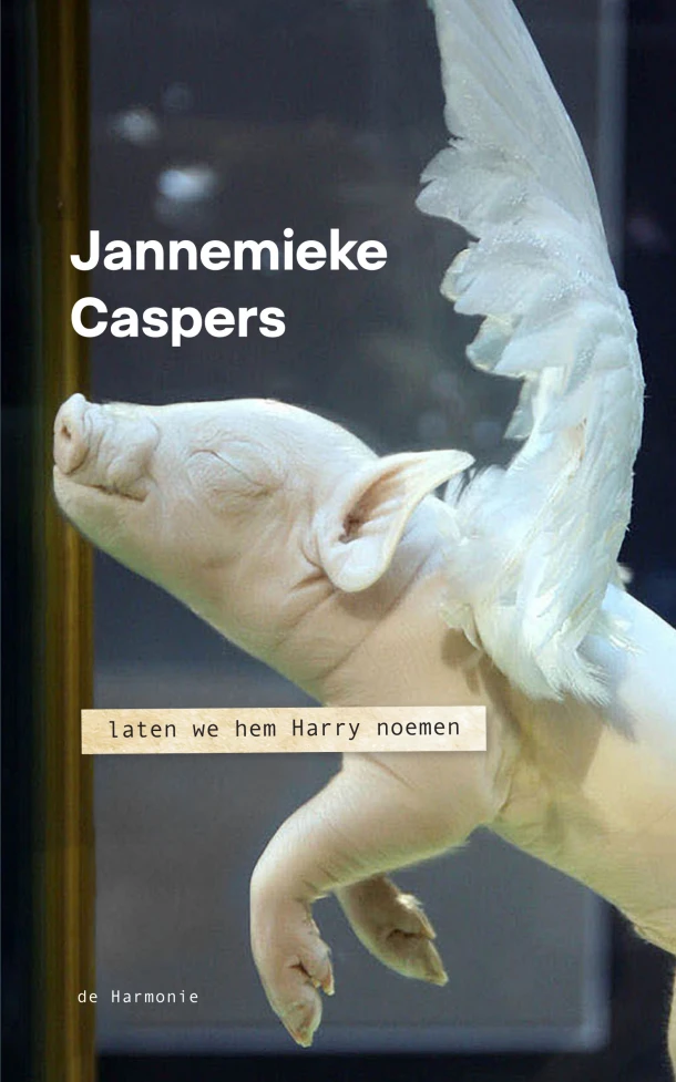 Laten we hem Harry noemen – Jannemieke Caspers – boek cover