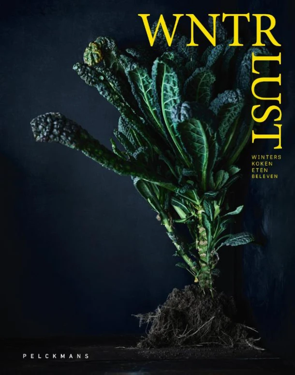 Winterlust – Debby De Mangelaere – boek cover