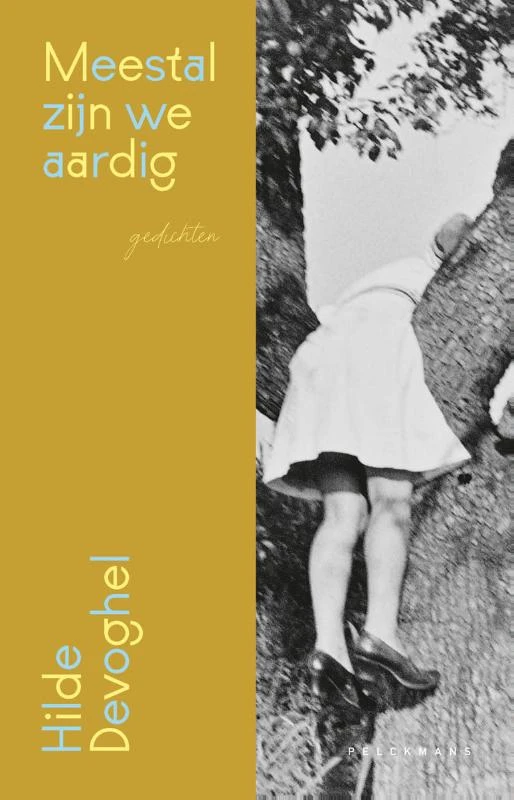 Meestal zijn we aardig – Hilde Devoghel – boek cover