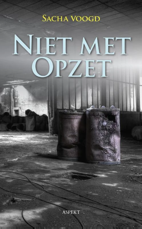Niet met opzet – Sacha Voogd – boek cover