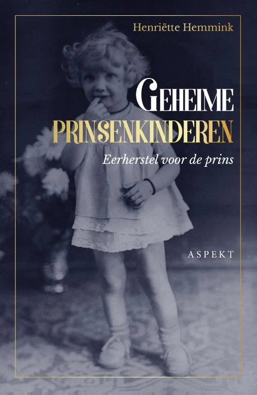 Geheime prinsenkinderen ā HenriĆ«tte Hemmink ā boek cover
