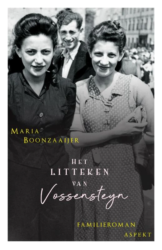 Het litteken van Vossensteyn – Maria Boonzaaijer – boek cover