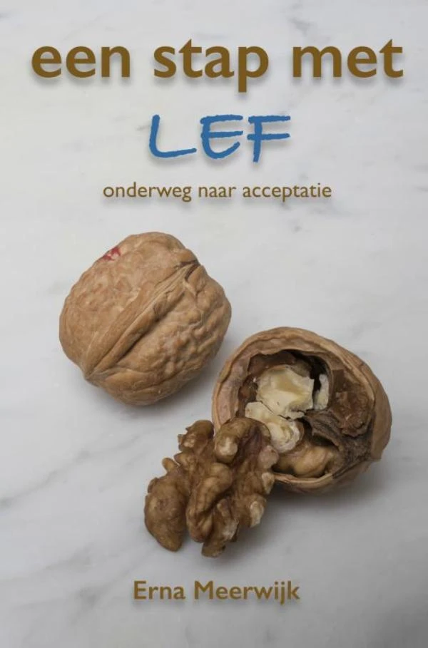Een stap met lef – Erna Meerwijk – boek cover